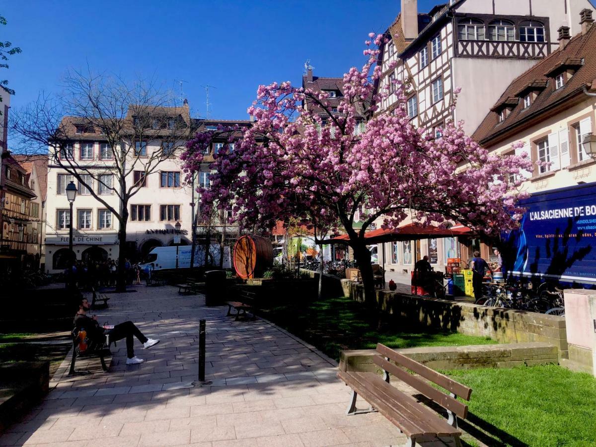 Le Moment Bleu Apartman Strasbourg Kültér fotó